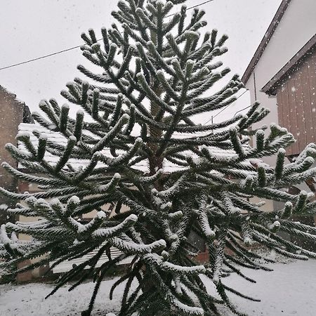 Apartament Ferme Les Iris Issenheim Zewnętrze zdjęcie