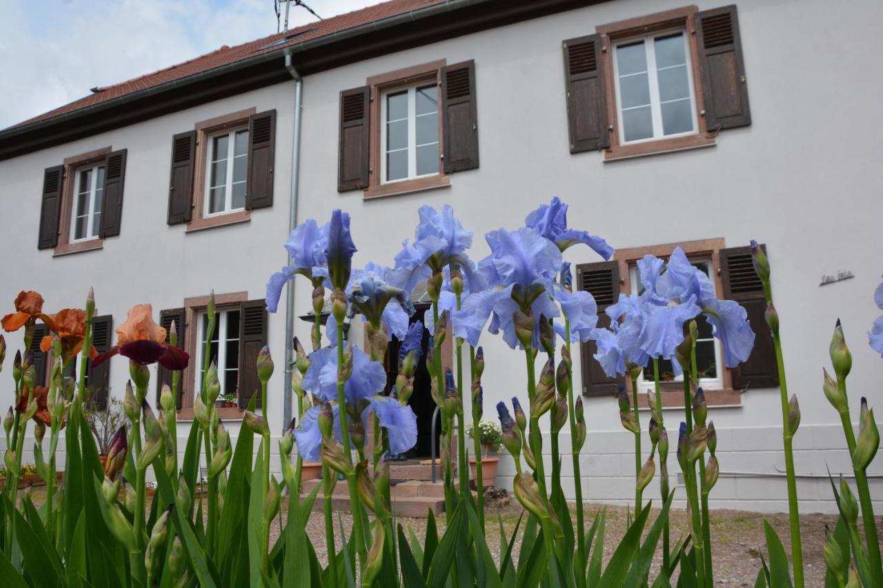 Apartament Ferme Les Iris Issenheim Zewnętrze zdjęcie